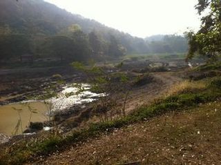 バンコク近郊県の国立公園側で開催されたミニ・ハーフマラソン
