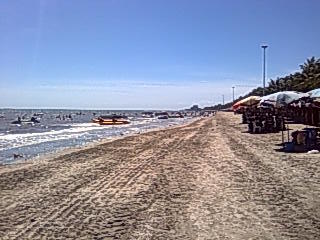 �`�����u���[���̃p�^���}���\���Q�O�P�Q