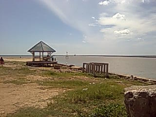 �^�C�암�`�����|�����ŊJ�Â��ꂽ��W�񃉃��X�����~�j�}���\��