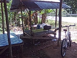 �^�C�p������A���_�}���C���փ}���[������MTB�ŉ��f