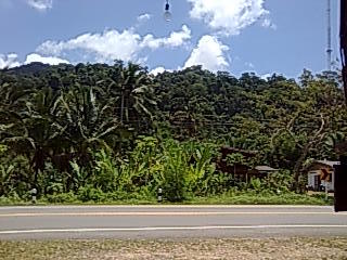 �^�C�p������A���_�}���C���փ}���[������MTB�ŉ��f