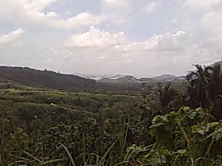 �^�C�p������A���_�}���C���փ}���[������MTB�ŉ��f