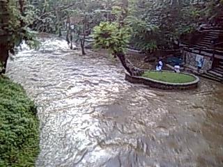 �o���R�N����S����MTB�ŃJ���`���i�u���[�̃q���_�[�����