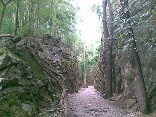 �o���R�N����S����MTB�ŃJ���`���i�u���[�̃q���_�[�����